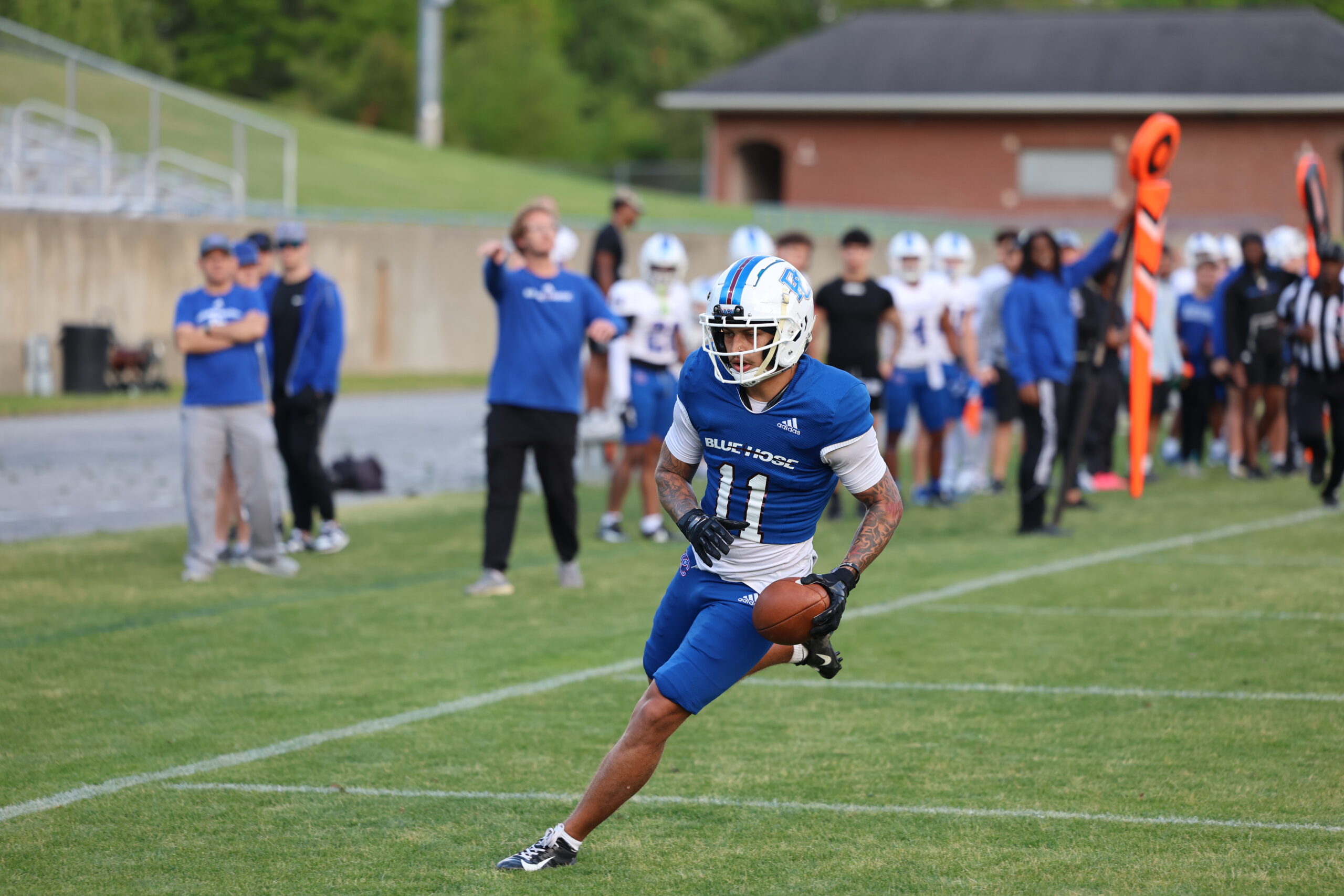 Presbyterian College Blue Hose football player on the field.