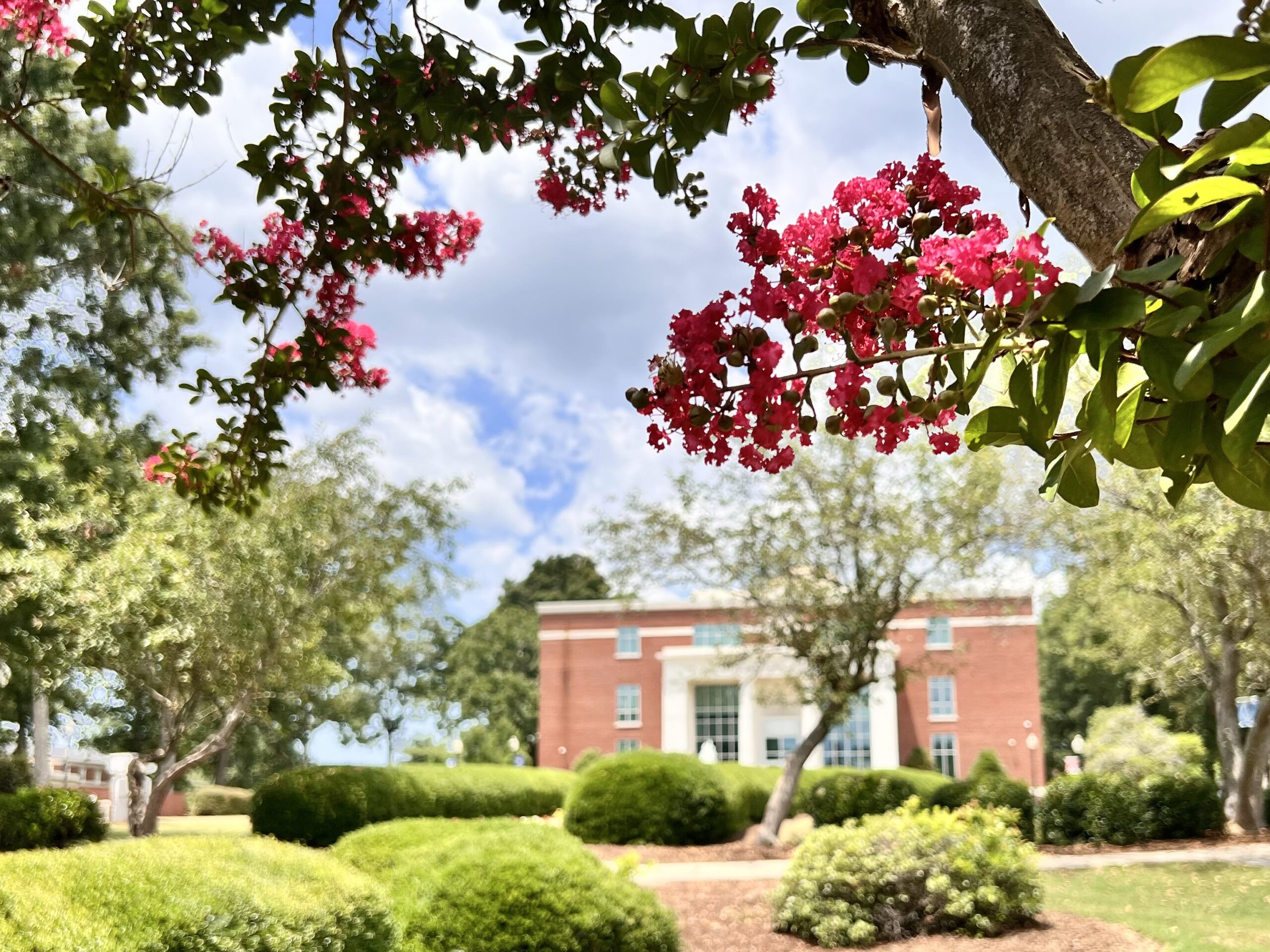 Photo of flowers behind Neville Hall.