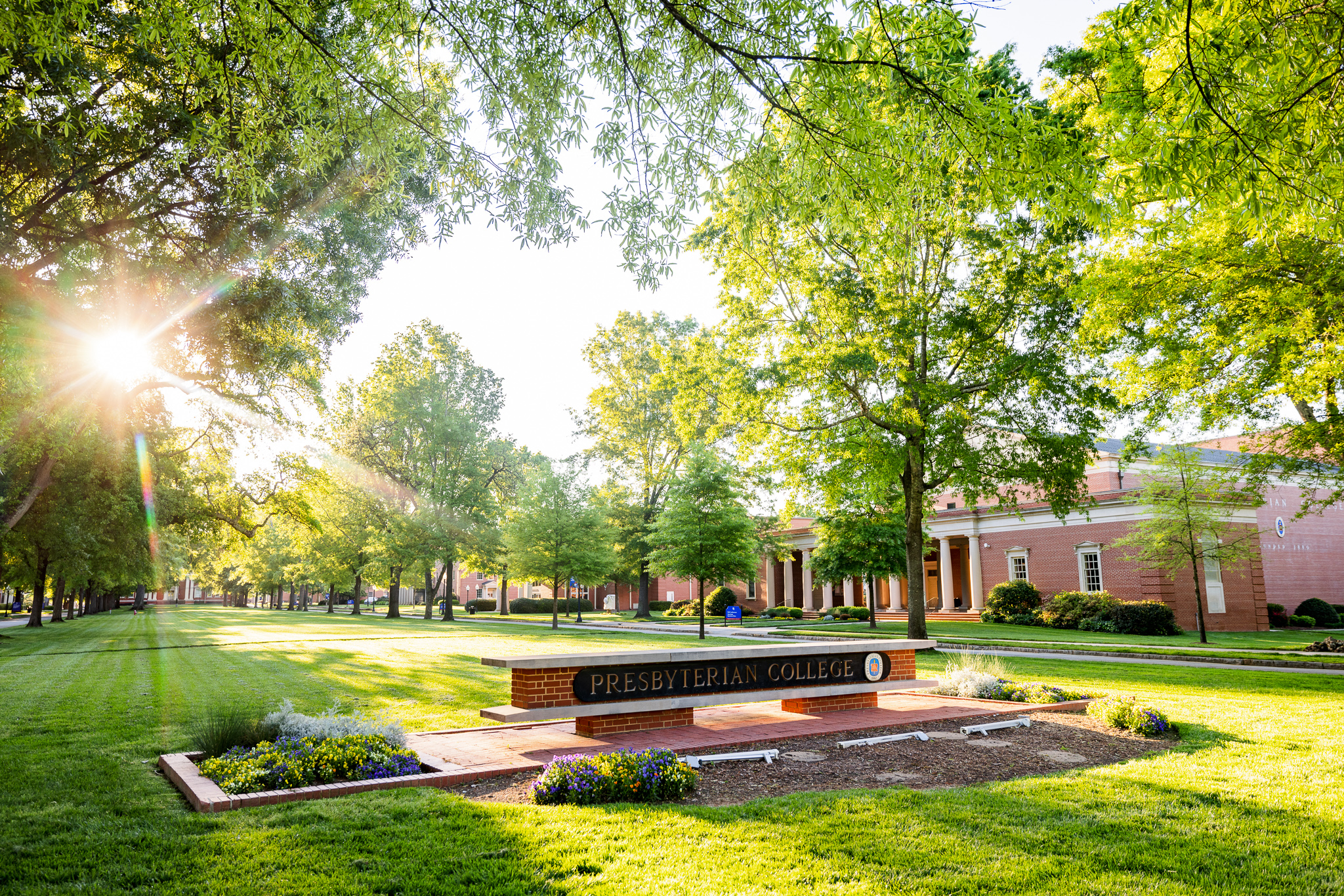 A picture of the Presbyterian College sign with the morning sun peaking through the trees.