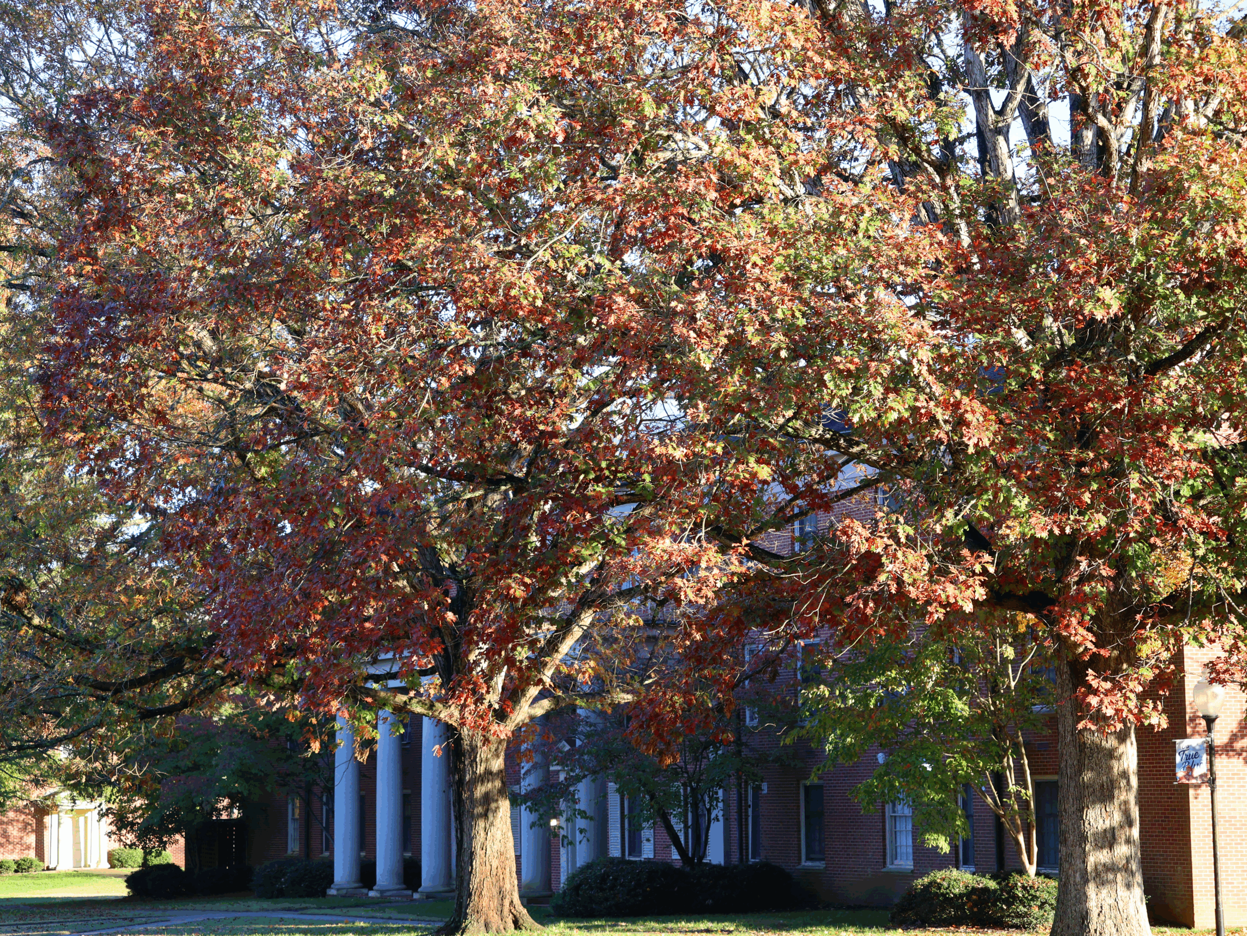 Fall at Presbyterian College