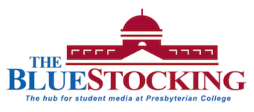 BlueStocking Logo