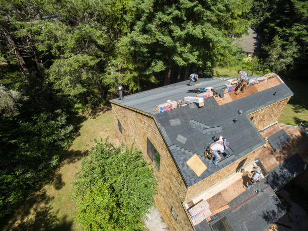 Maximize Your Home’s Value: Roof Replacement Strategies post thumbnail image