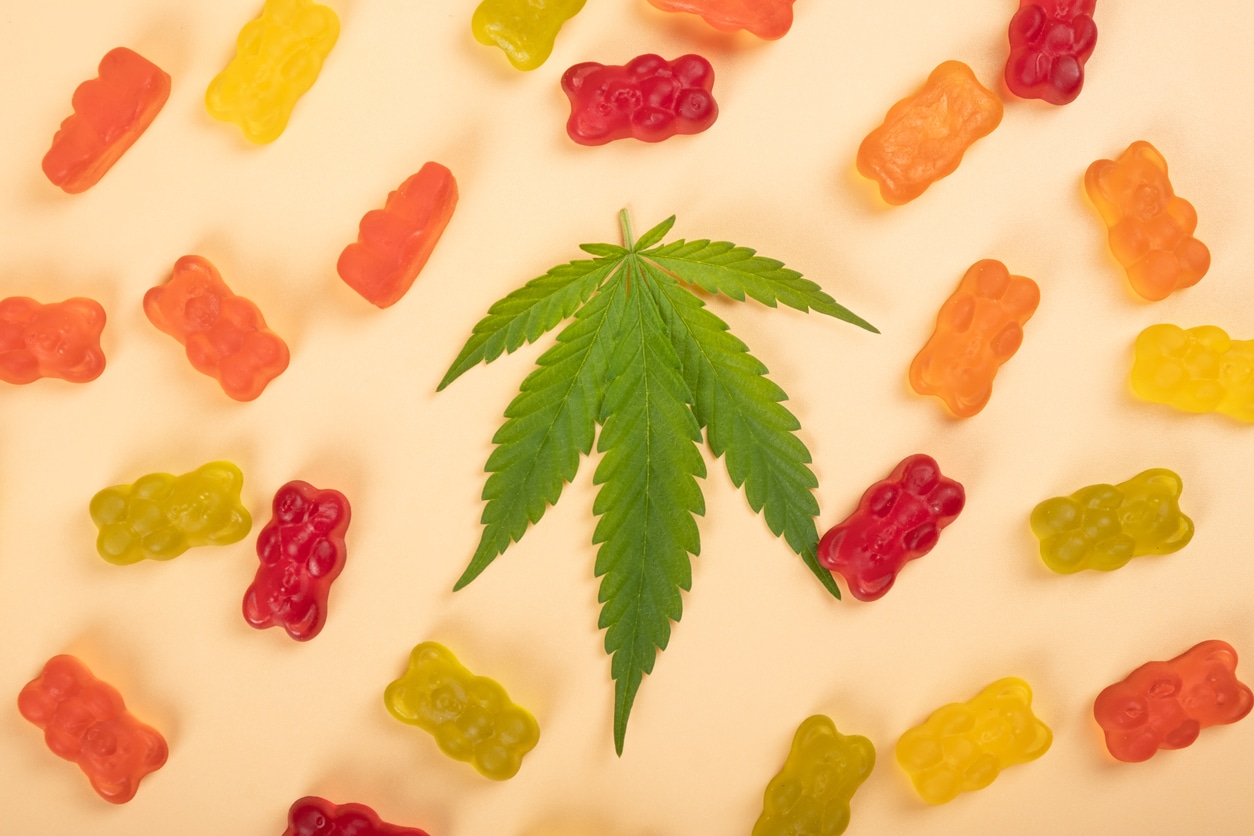 100 mg Edibles Are They the Perfect Dose for You? post thumbnail image